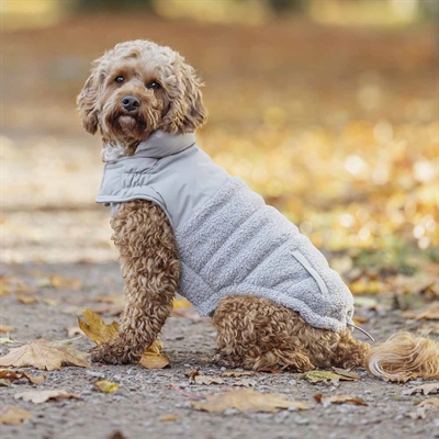 Trixie Vinterjacka För Små och Medelstora Hundar Design Ajou Grå Beige